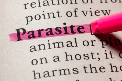 Parasite Doctor in Palo Alto, CA